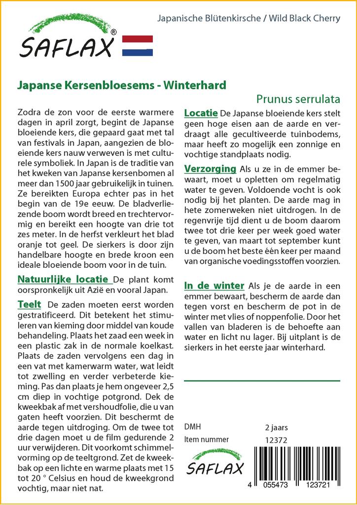 SAFLAX Wild Black Cherry - 30 семян - С горшечным субстратом для лучшего выращивания - Prunus serrulata