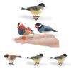 Animal Figure Desk Ornament With Static Design For Science Education And Bird Lovers