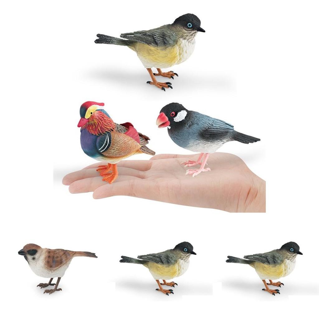 Animal Figure Desk Ornament With Static Design For Science Education And Bird Lovers