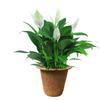 3pcs Biodegradable Nursery Pots Natural Plant Containers Pots Plant Seedling Cups  Garden Supplies