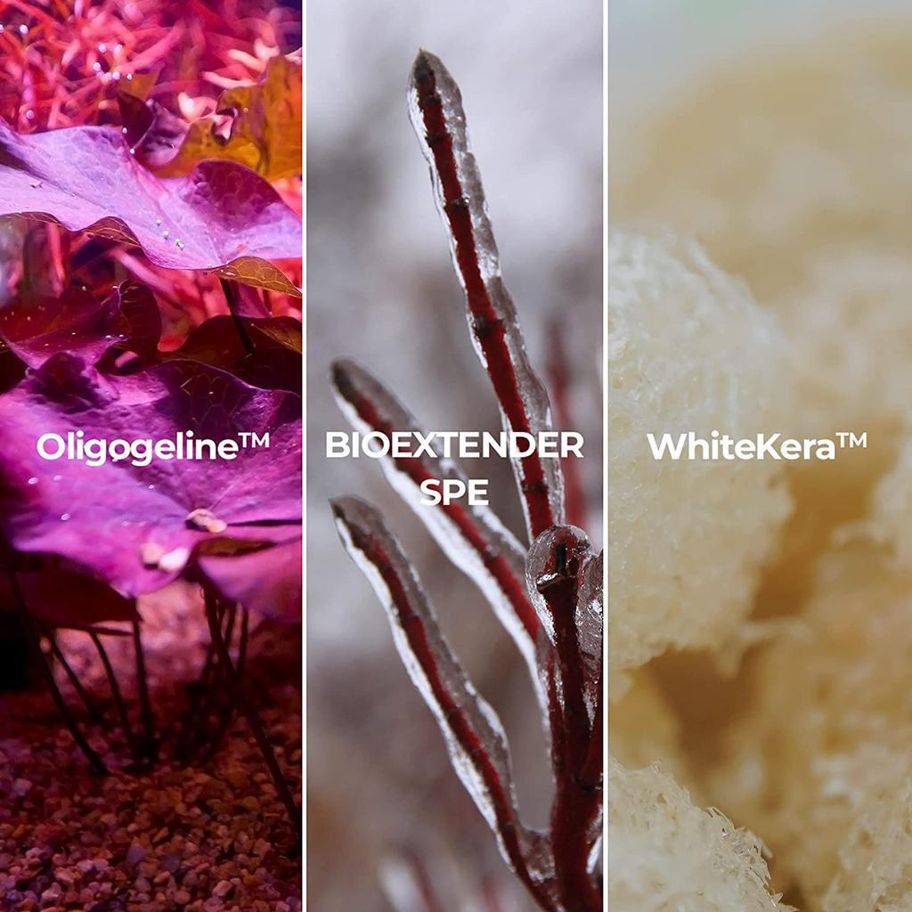 NEOGEN Dermalogy Extra Volume Curl Metal Maxicara 02 Коричневая 4мл