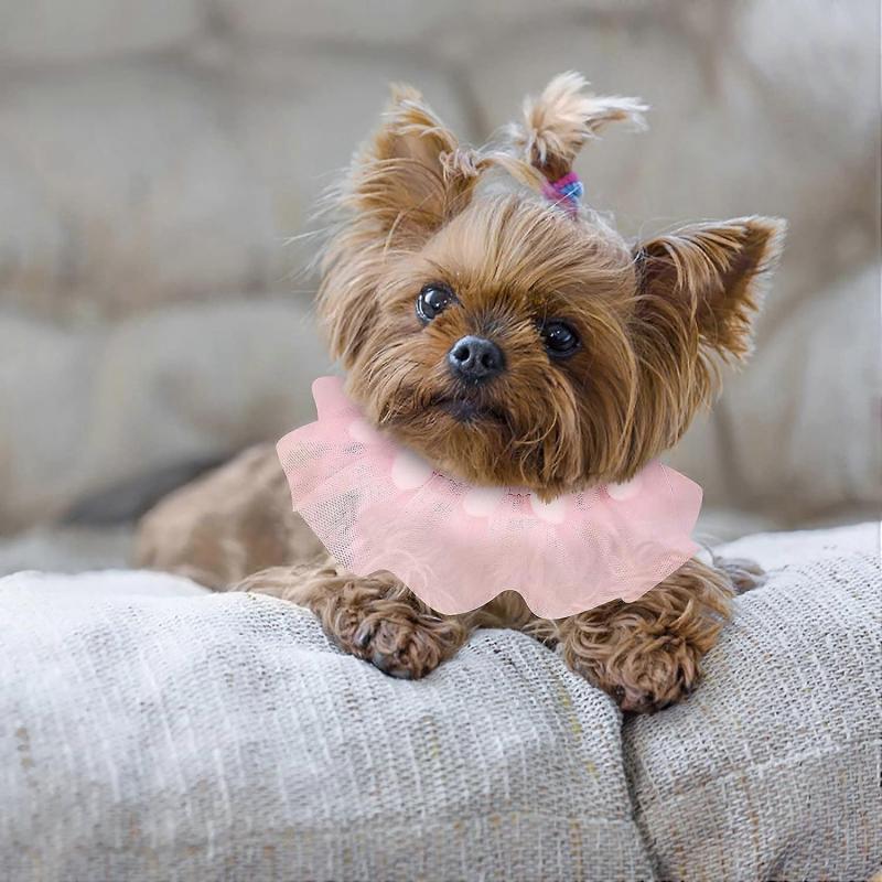 Dog Collar Bow Tie Attachment Lace Pet Collar Adjustable Dog Collar Cute Soft Padded Necklace for Puppy Cat Gift Collar for Small Dog Dog Collar Charm