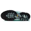 Nike Air Max Plus 'Origins Waterway' FV0394-300