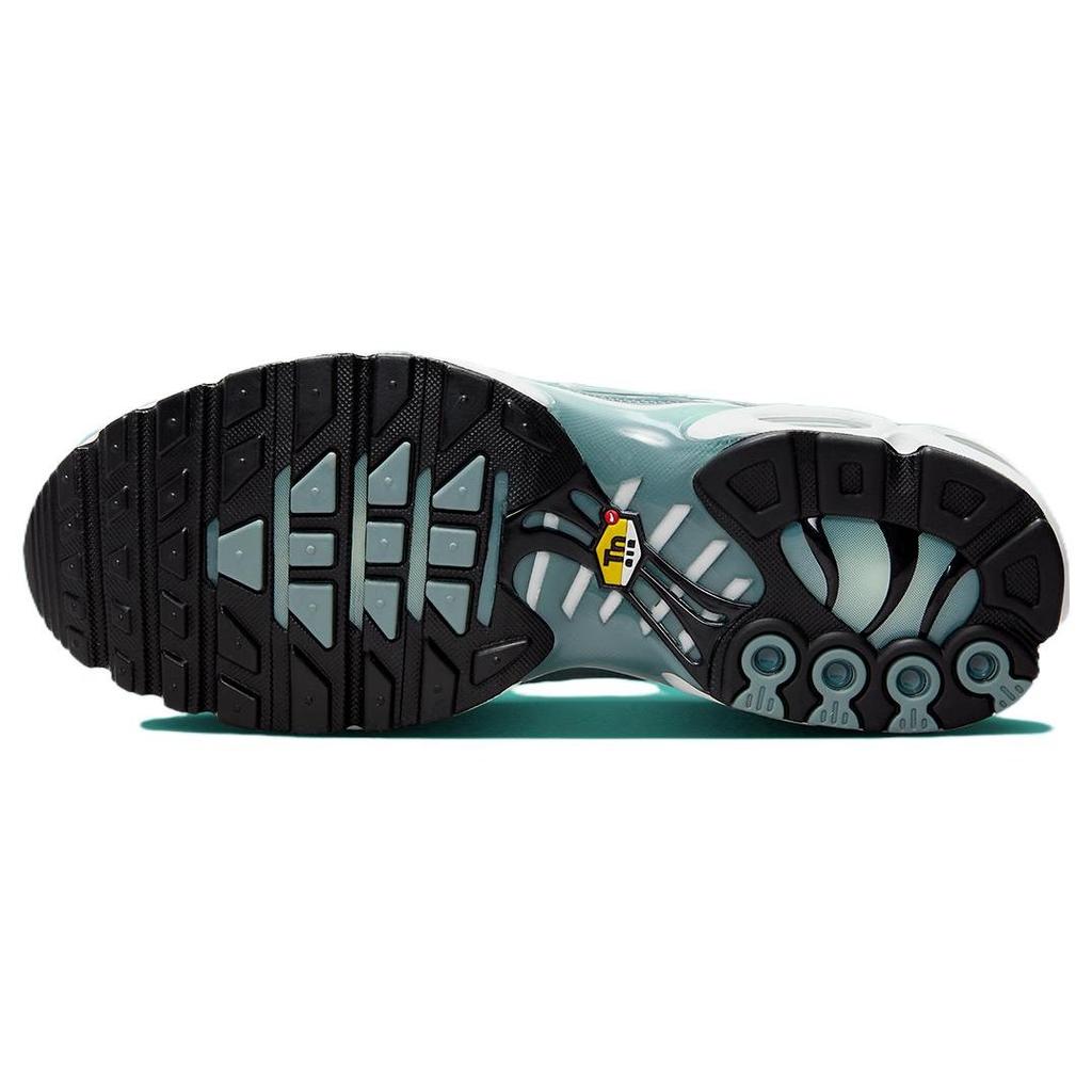 Nike Air Max Plus 'Origins Waterway' FV0394-300