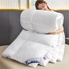 Zhenbu Thickened Goose Down Winter Duvet
