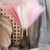 3pack/lot Space Artificial Pampas Reed For Chic And Non-shedding Home Decor Artificial Flower