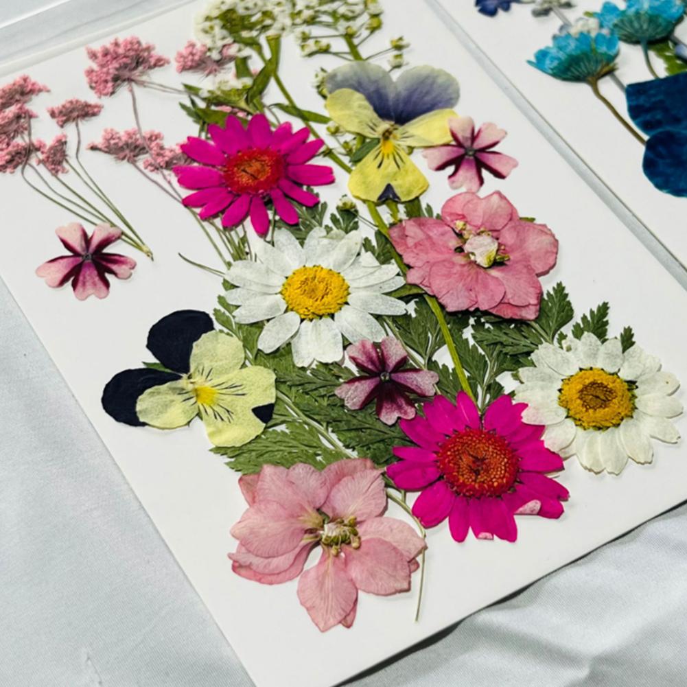 Dried Pressed Flowers For Resin Crafts, Flower Natural Dried Fillers, Assorted Real Natural Bulk Dry Floral Leaves For Scrapbook