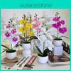 Realistic Artificial Orchid Arrangement With Small Round Pot For Indoor And Outdoor Decoration