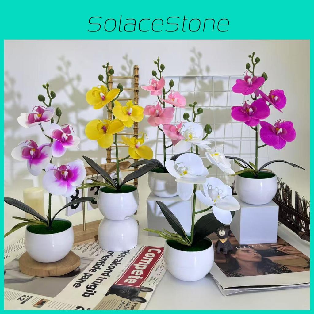 Realistic Artificial Orchid Arrangement With Small Round Pot For Indoor And Outdoor Decoration