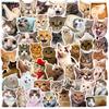 50pcs Cartoon Cat Graffiti Stickers Photo Animal for Children DIY Travel Laptop Sticker Decals