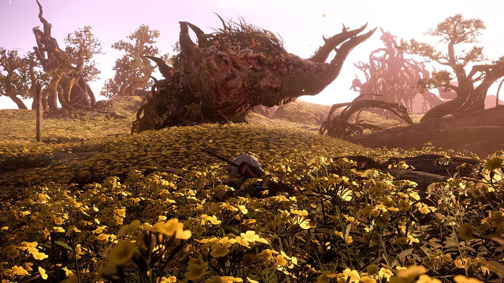 Дикие Сердца Север Xbox Series X (Импортная версия Америка) -