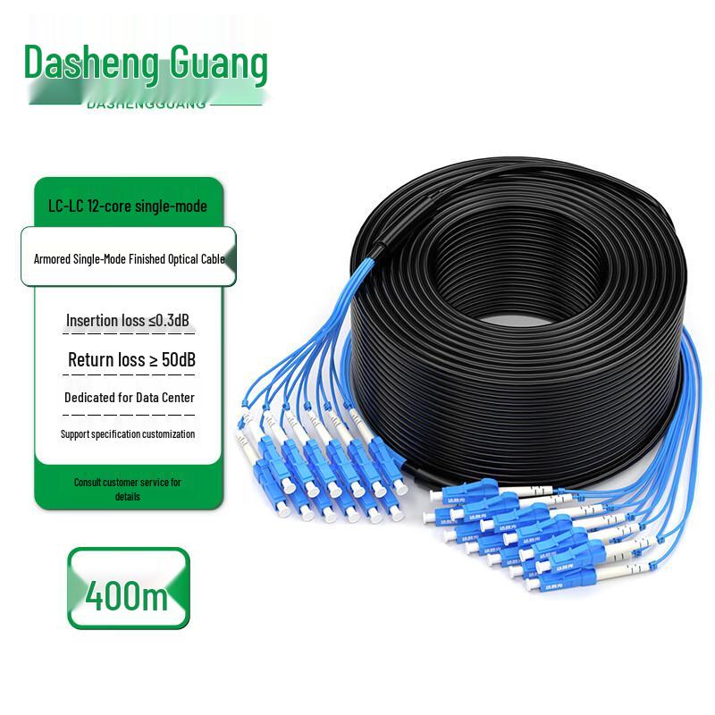 Dasheng Optic Outdoor Armored Single-mode LC-LC Fiber Optic Cable