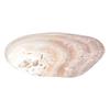 Color Decorative Multifunctional Jewelry Storage Tray Storage Container Storage Holder Art Craft
