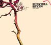 CD RIOW ARAI - Survival Seven LMCD014 Libyus Music 2006 Япония Танцевальная & Электронная Б/У