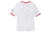 Nike Футбольная форма Ливерпуль ФК 2024/25 Стадионная Третья Мужская Nike Dri FIT Футбольная Реплика FQ2030-101