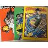 Б/у прозрачный файл Dragon Ball Магазин Jump Shop Китай Jumpsho