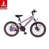 PHOENIX TT-20PLUS Детский горный велосипед
