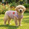 Ruffle Striped Dog Striped Vest Breathable Dog T-shirt Cute Two Legged Puppy Vest Dogs T-shirt