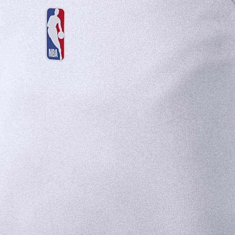 Nike Мужская футболка без рукавов Golden State Warriors Comfort с логотипом, белые DR6765-100