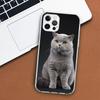 British Shorthair Cat Phone Case For Apple iPhone 11 12 13 15 14 Pro 7 XR X XS Max 8 Plus + Mini SE Customized Print Soft Cover