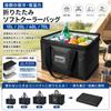 Cooler Box Insulated Bag 10L 20L 40L 70L Folding Thermal