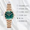 RORIOS Commuting To Gift Box Watch for Green Women's Watch, Fashionable, Popular, Analog, Quartz, Waterproof, Casual, Work, School, Birthday,