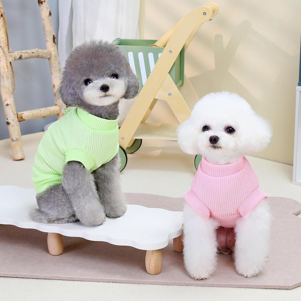 Футболка с изображением смайлика бишона Тедди и подтяжками на весну и осень