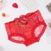 Plus Size Nude Lace Low Waist Embroidered Panties for Women