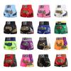 MMA Muay Thai UFC Training Boxing Shorts