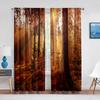 Fall Forest Tulle Curtains for Living Room Bedroom Decoration Autumn Trees Woodland Sunshine Nature Scenery Sheer Voile Curtain