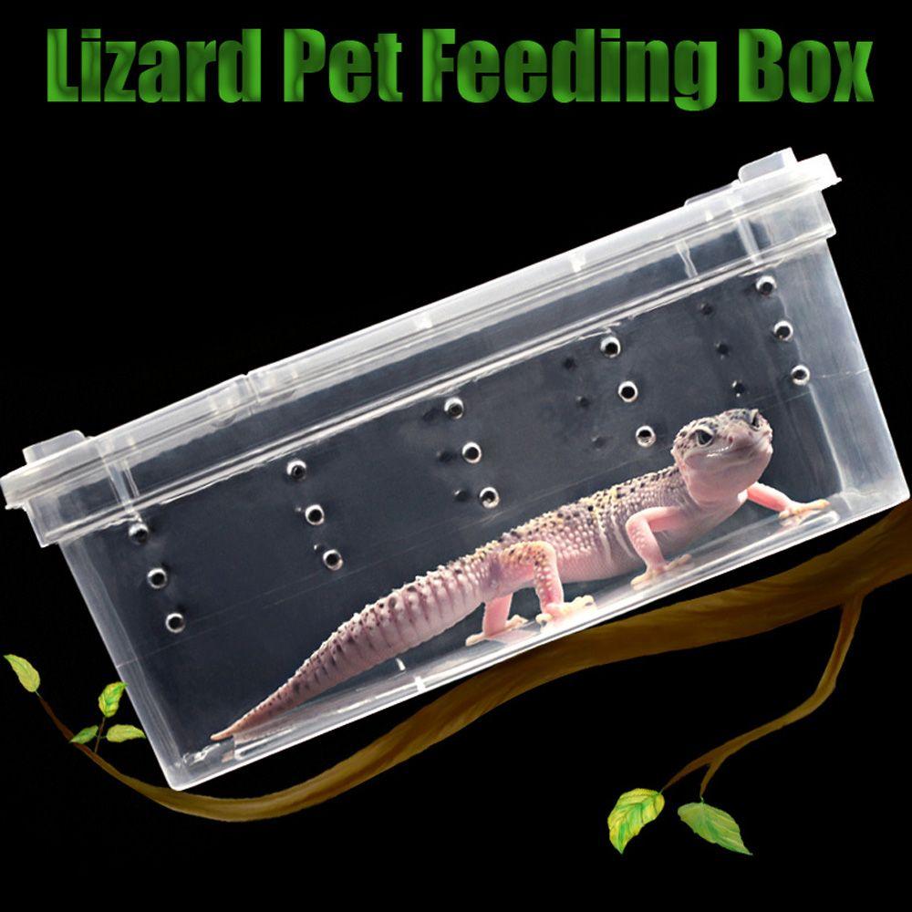 Reptile Frogs Tarantulas Snakes Breeding Insect Reptile Terrarium Living House Cage Feeding Box