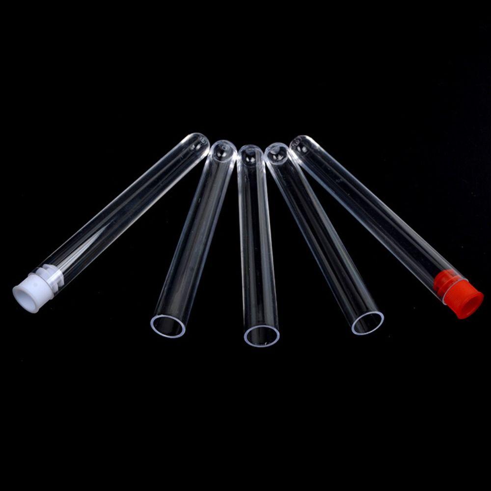 Clear Plastic Test Tubes Transparent Transparent Test Tubes Laboratory Test Tubes  Wedding Favours