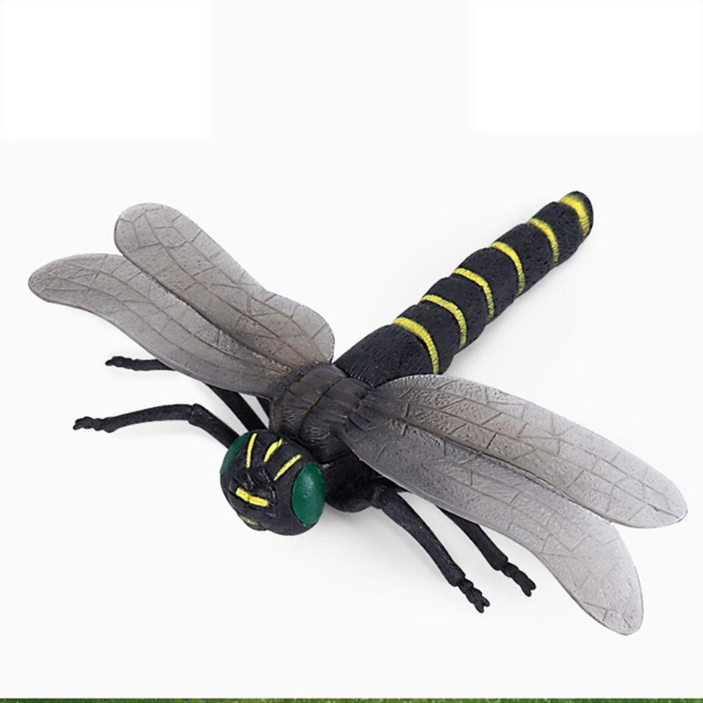 Кузнечик Моделирование Модель дикой природы Сверчок Моделирование Модель насекомого Забавные детские игрушки