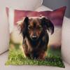 Mini Dachshund Cushion Cover Decor Pet Animal Pillowcase Sofa Home Children's Room Pillowcase