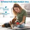 OEM ODM Tough Durable Natural Rubber Teeth Cleaning Interactive Ultra Pet Dog Chew Ball Toy