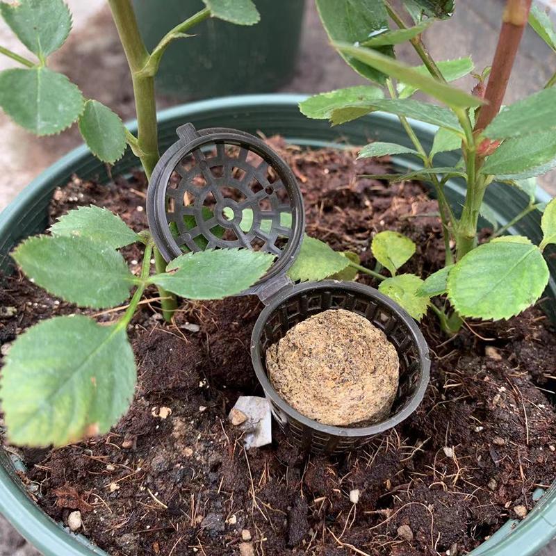 Fertilizer Box Bonsai Fertilizer Basket with Lid Bonsai Bonsai Bonsai Potted Fertilizer with Lid