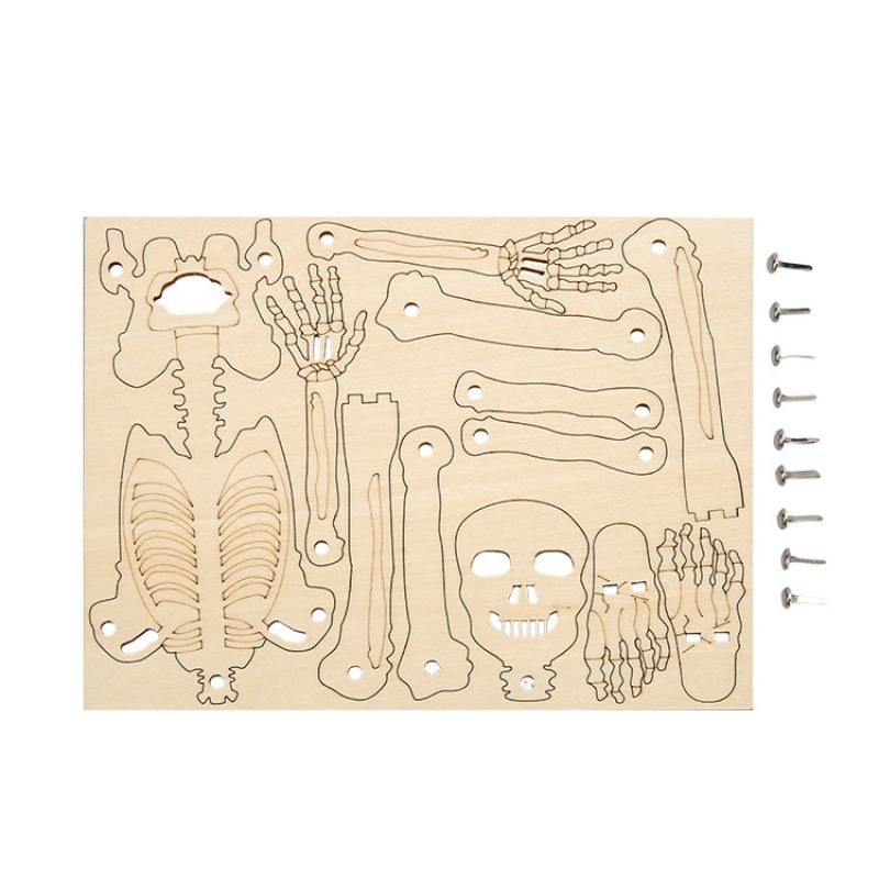 Модель человеческого скелета DIY Технология Сборка небольшого скелета Учебные пособия Детская головоломка Материалы ручной работы Упаковка