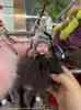 Authentic Fox Fur Pompon Keychain: Cute Plush Sleeping Doll Bag Charm