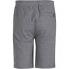 Converse LW Casual Shorts Men's Gray 10017027-A06