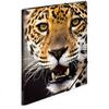 Herma Elasticated PP Folder A3 Animals (Leopard)