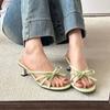 French Evening Breeze Cool Slippers Women's 2025 Summer New Outer Wear Fashion with Skirt Thin Heel Beach Roman Shoes