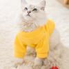 Pet Clothes Autumn Thin Velvet Two-legged Cat Kitten Warm Bear Small Dog Puppy Dog Teddy Clothing