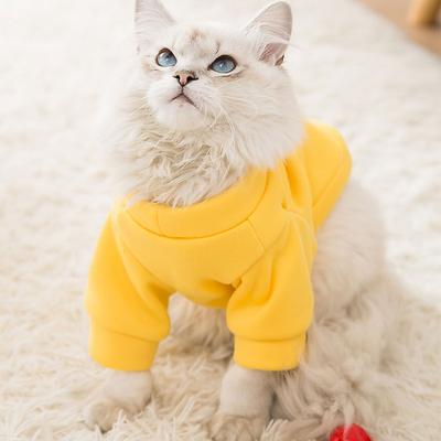 Одежда для питомцев осенняя тонкая бархатная на двух лапах кошка котенок теплая медведь маленькая собака щенок собака тедди одежда
