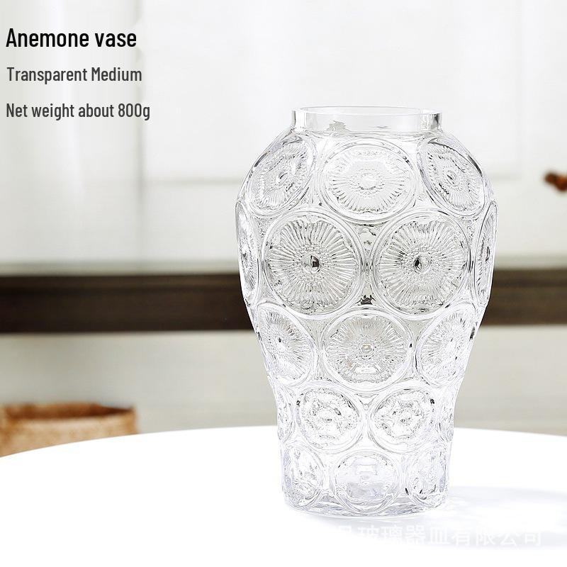 Стиль интернет-знаменитости Прозрачная стеклянная ваза для гидропонных цветочных композиций - Дисплей из гипсофилы для гостиной или обеденного стола