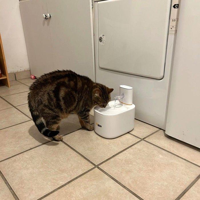 Фонтан для воды для кошек и маленьких собак беспроводной Astra 3,5 л - Ferplast