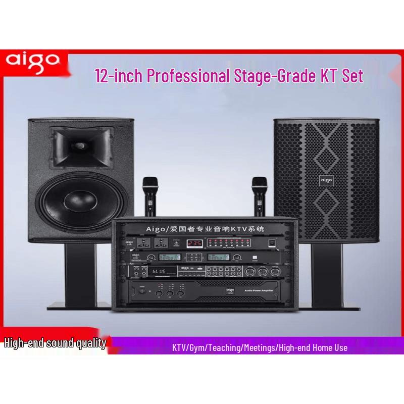 aigo L-612 Professional 12-inch Karaoke & Home Audio System (CN version)
