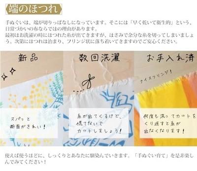 Izumi Kobai Komon Tenugui Japanese Traditional Hand Towels 3390cm 5-Pack Japan