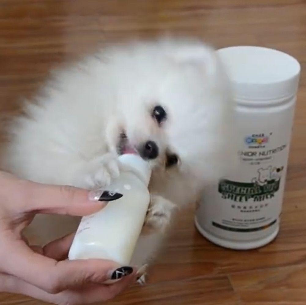 Инструмент для замены новорожденного мини-соска для кошек бутылочка для кормления домашних животных наборы для кормления домашних животных 60 мл бутылка для молока