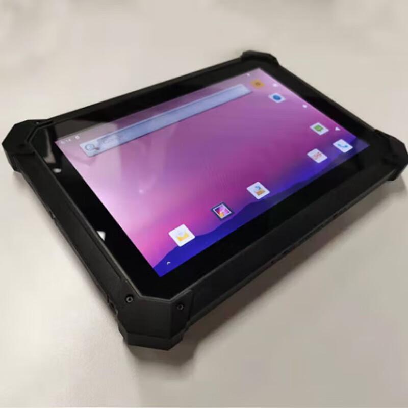 QS LSLN-9012 Industrial Handheld PDA