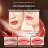 RUYI Hydrating Color-Changing Lip Balm